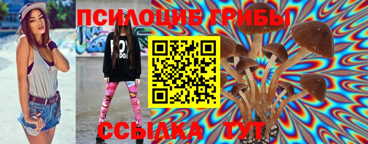 Курчалой  Галлюциногенные грибы прущие грибы  Псилоцибиновые грибы мухоморы  Вход с VPN 