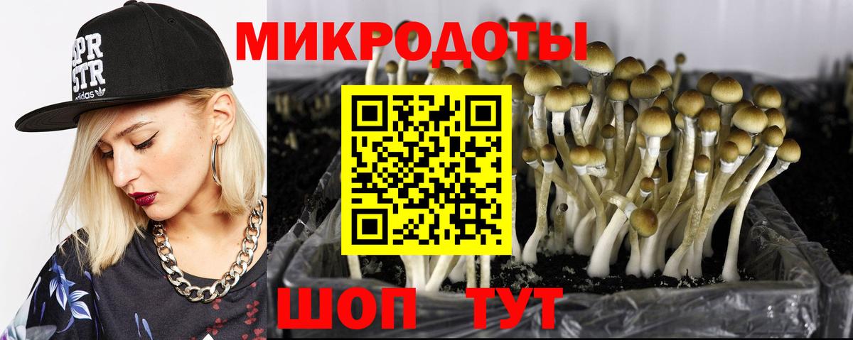 Галлюциногенные грибы мухоморы Курчалой